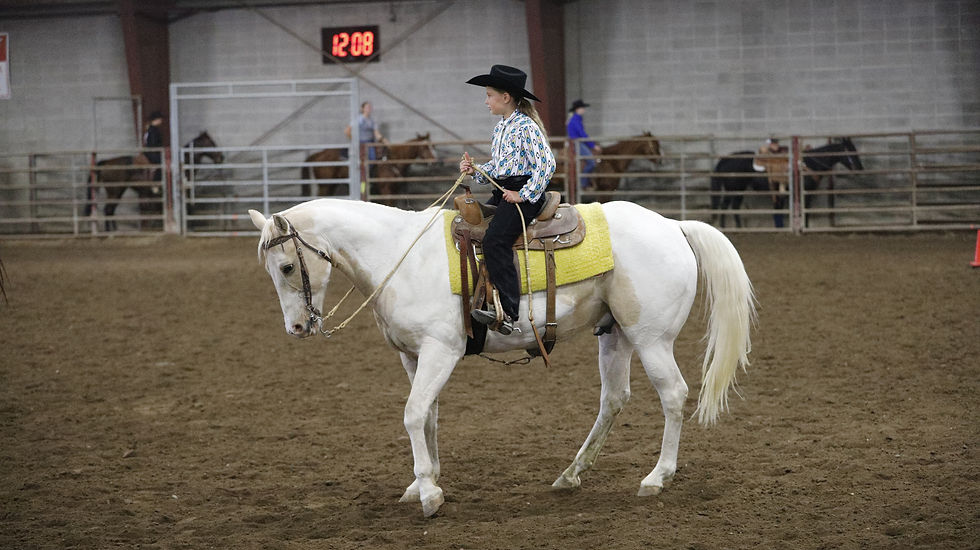 Hairy Horse Show