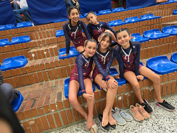 Gimnasia Artística Nivel 2: un Orgullo para el Colegio Rochester