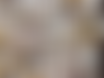 Valores que nos Unen: la Primera Comunidad Cristiana, la Familia y la Escuela