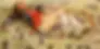 ree