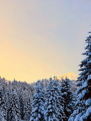 Verschneites Schwazwassertal