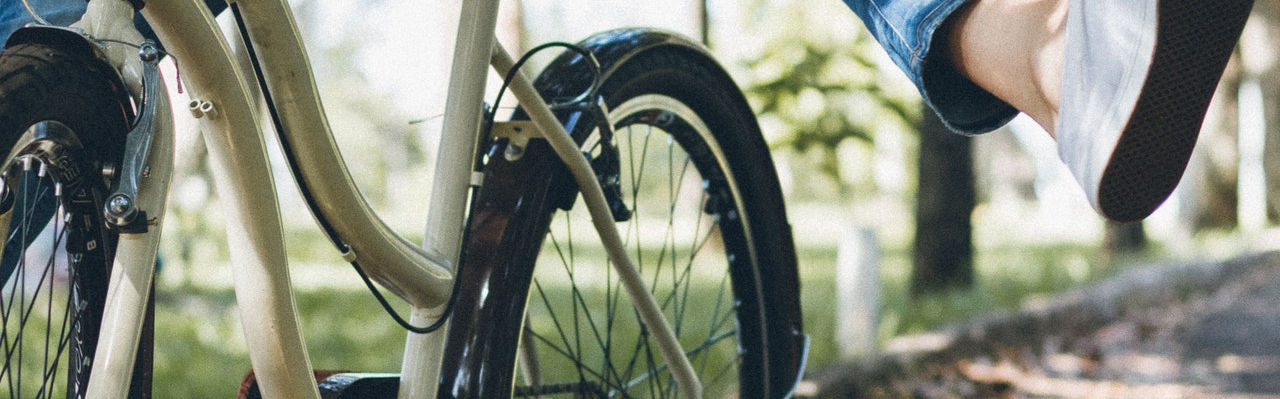 pexels-bianca-gasparoto-1753137.jpg