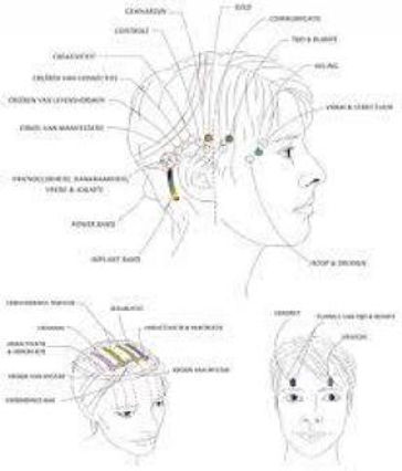 7bfe78bd46c4e6e9489a632c51dde078_330x337