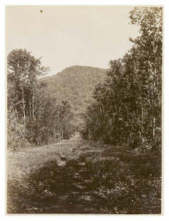 Path and Vaea Mountain at the end_1889.jpg