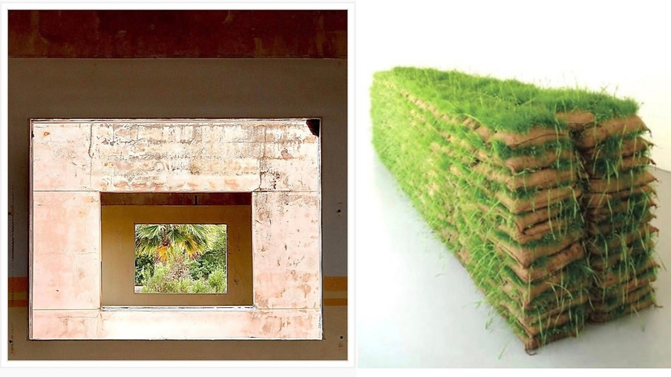 PhotoCollage_1783178693691.jpg