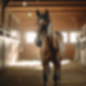 Ipotane Horse.png