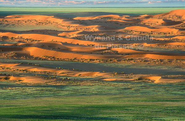 The living desert near Solitaire: landscape065
