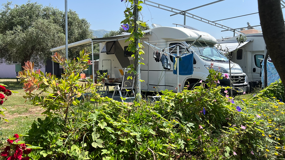 Camping Moskato