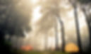 Forest camping_edited.jpg