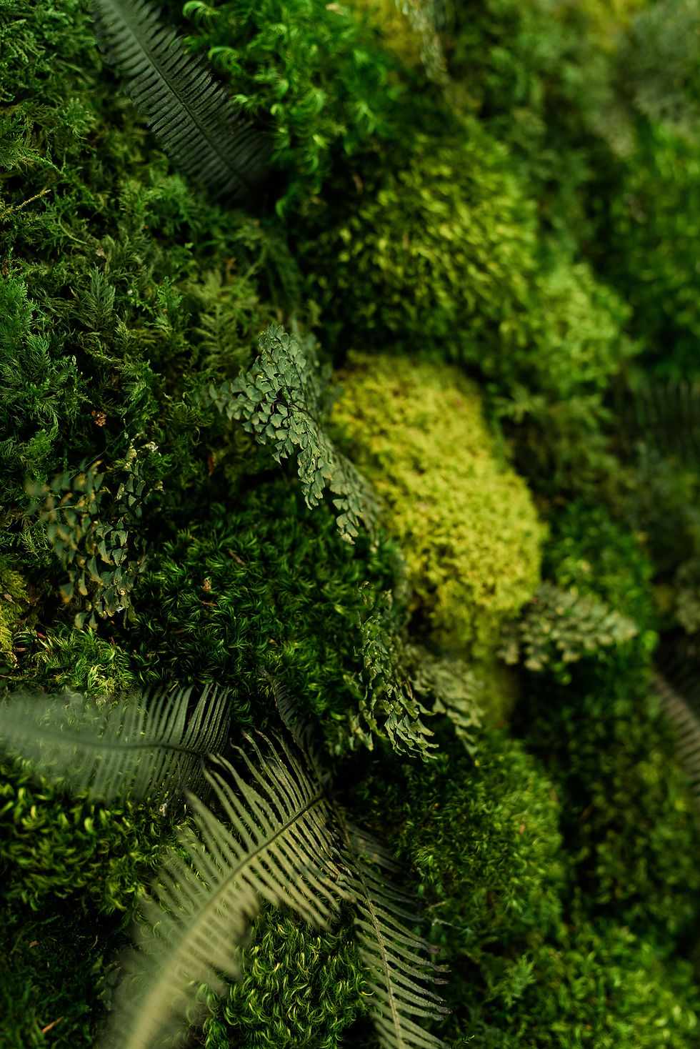 Thumbnail: Green Pastures