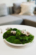 Thumbnail: Moss Centerpiece