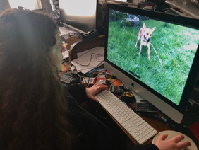 image2.jpeg