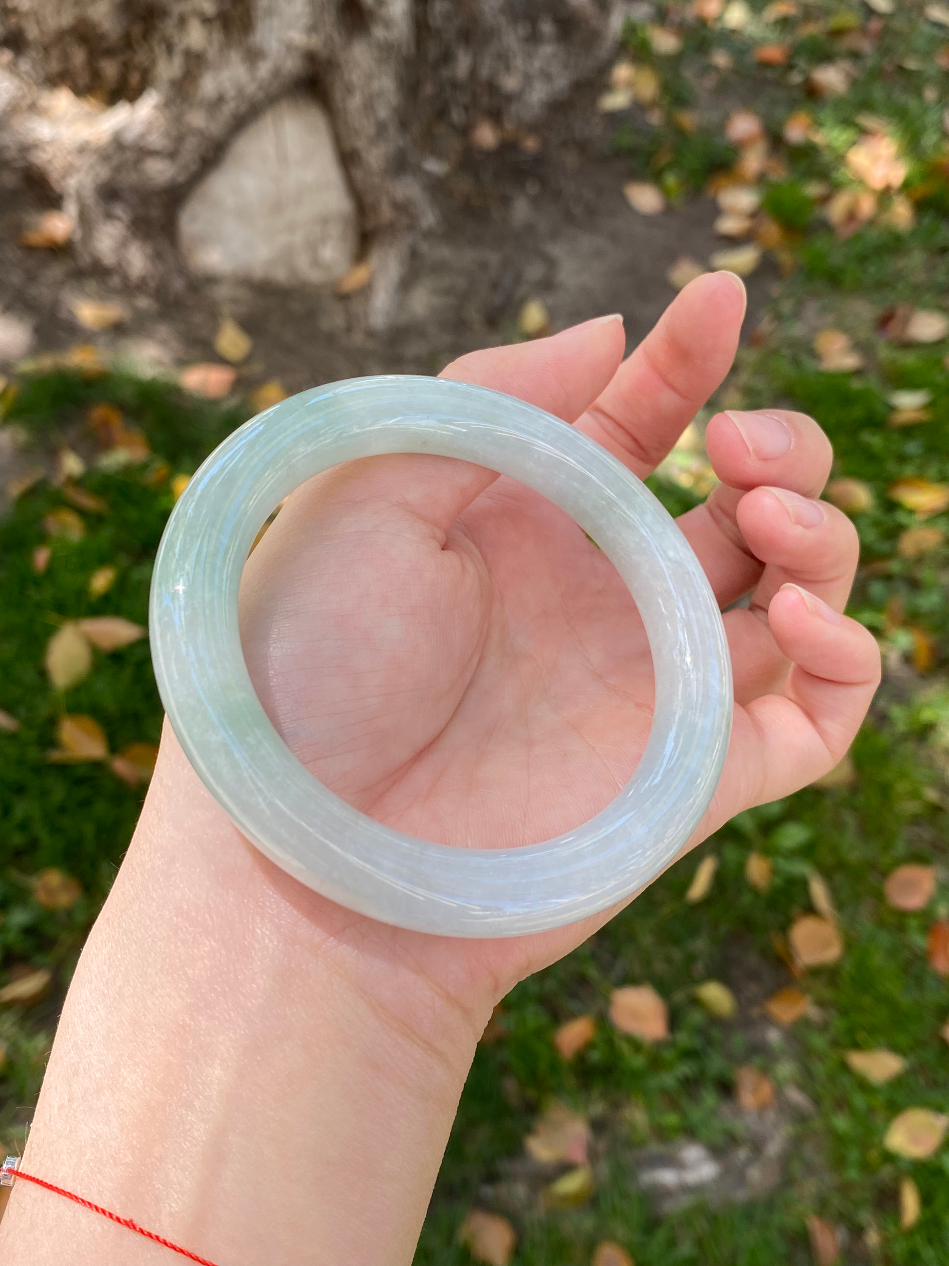 【019】浅草绿大胖圆