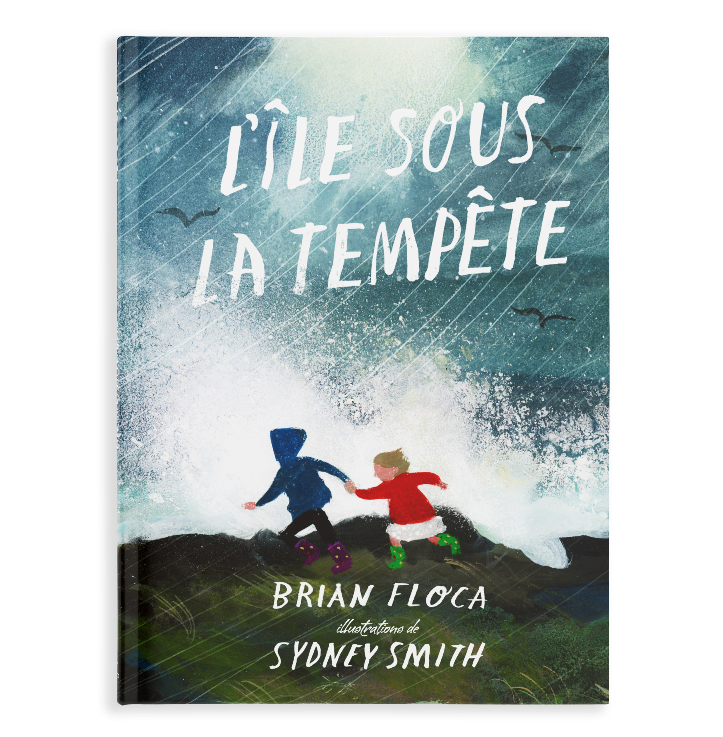 L'île sous la tempête