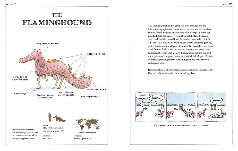 Thumbnail: Animals That Might Exist, by Professor O'Logist