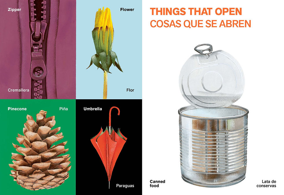 Thumbnail: All Kinds of Things/Todo tipo de cosas