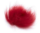 red.jpg