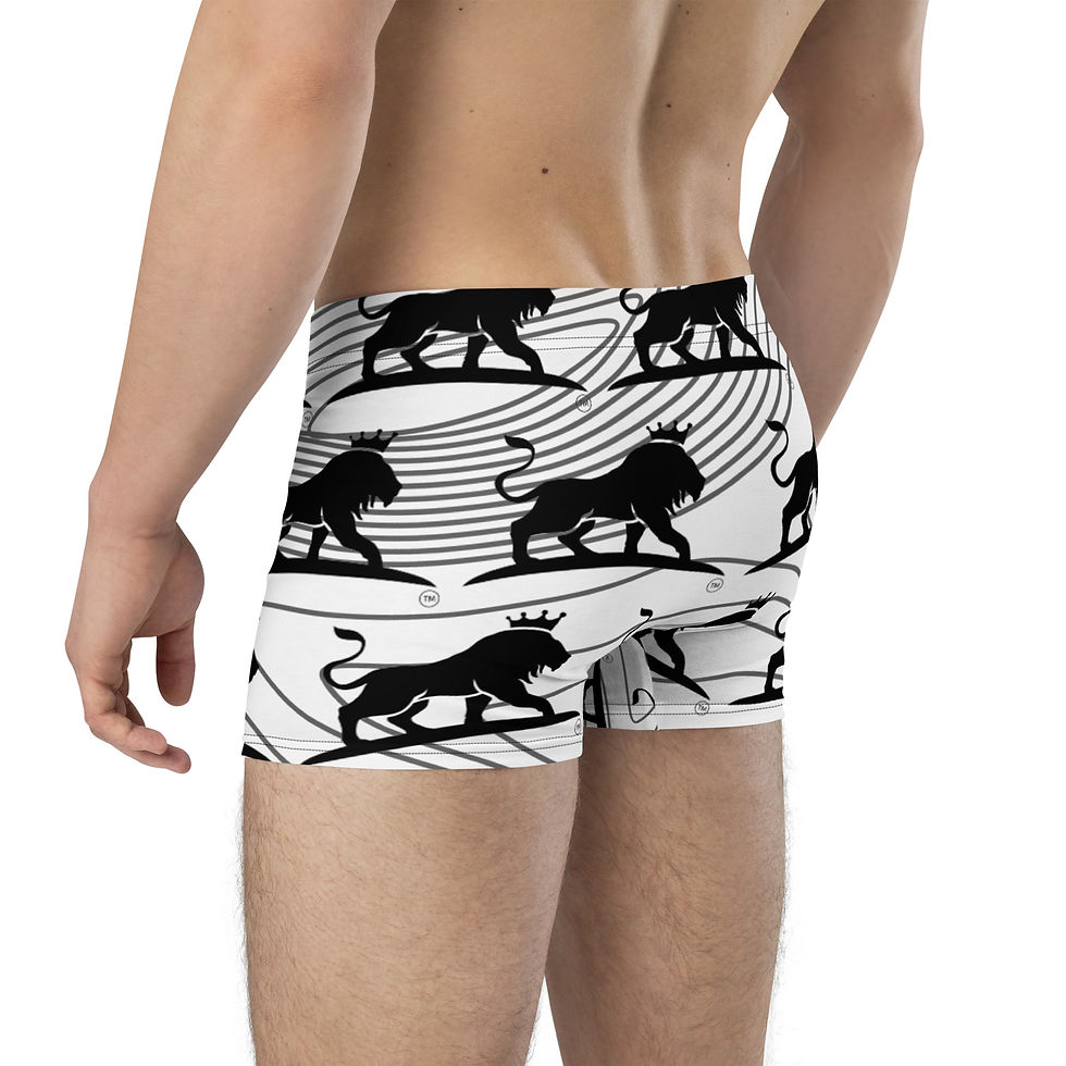 Thumbnail: Boxer Briefs