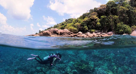 Half underwater.jpeg