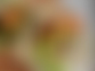 VEGAN JACKFRUIT & REFRIED BEAN TACOS