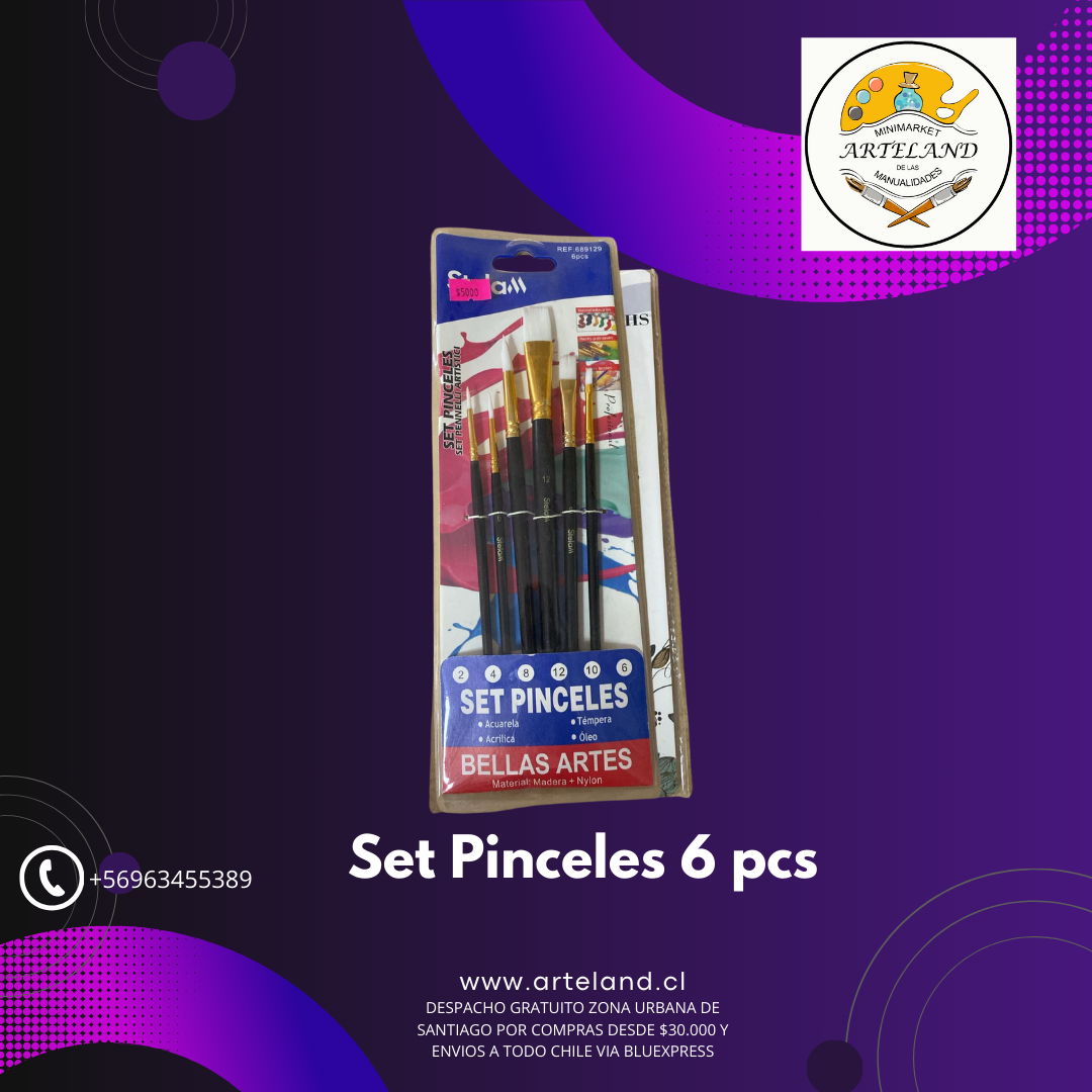 Set Pinceles 6 pcs