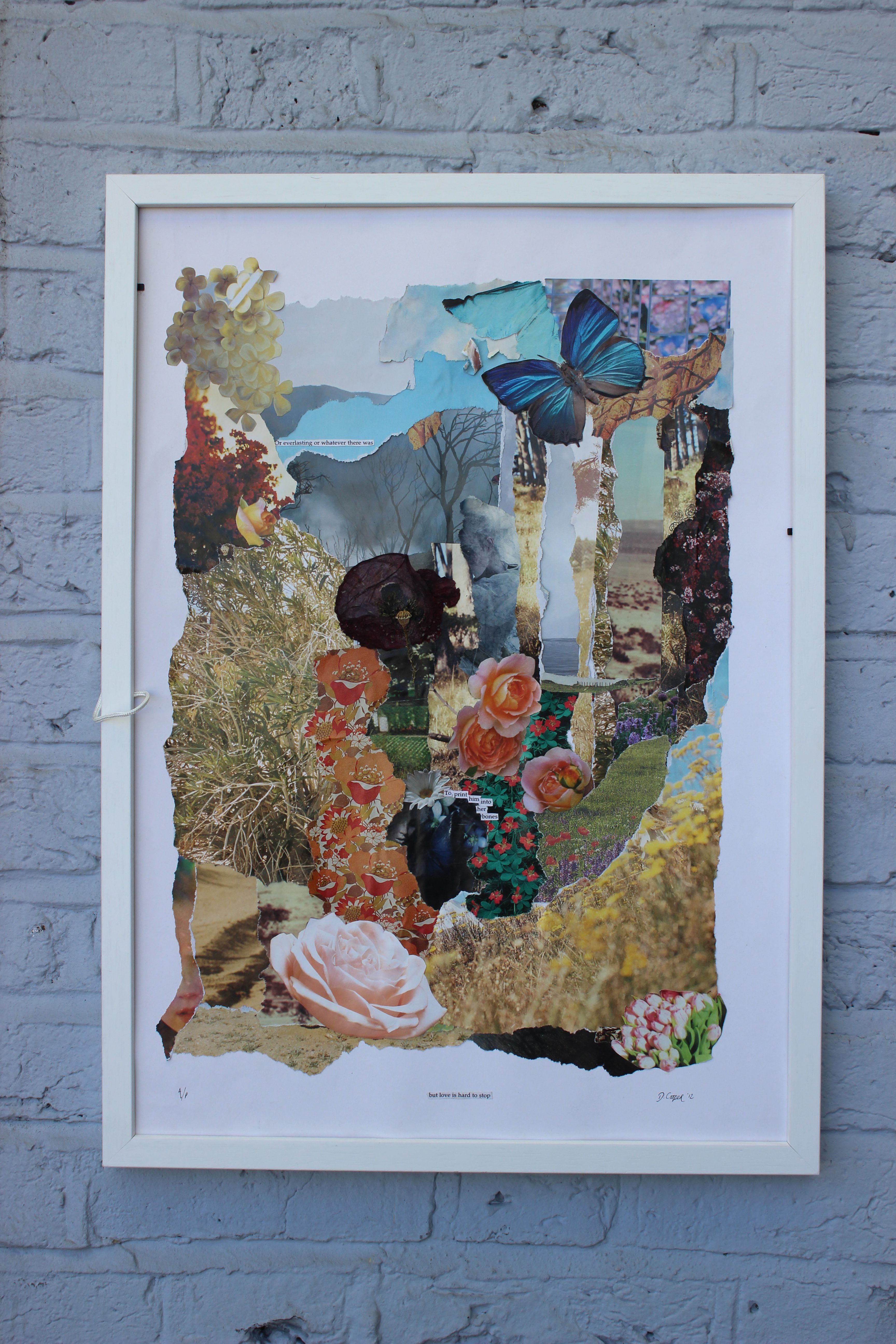 Daisy Cooper -Butterfly - Art Collage