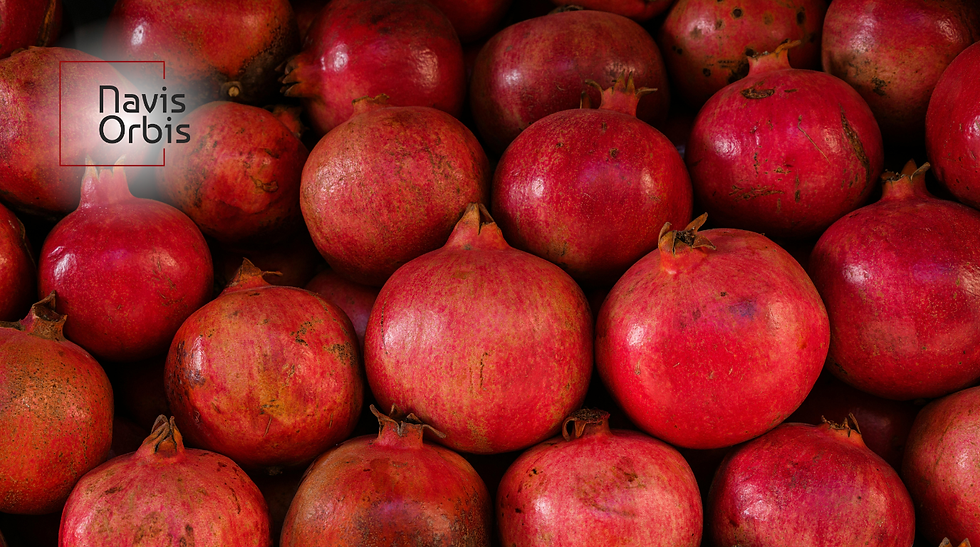 Indian Bhagwa pomegranates for Bahrain