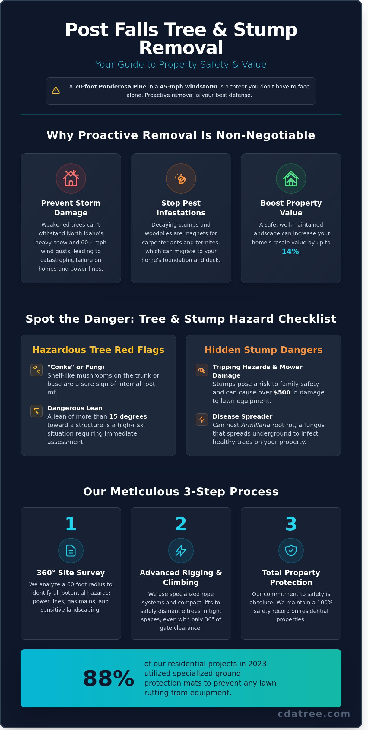 Post Falls tree and stump removal infographic - visual guide