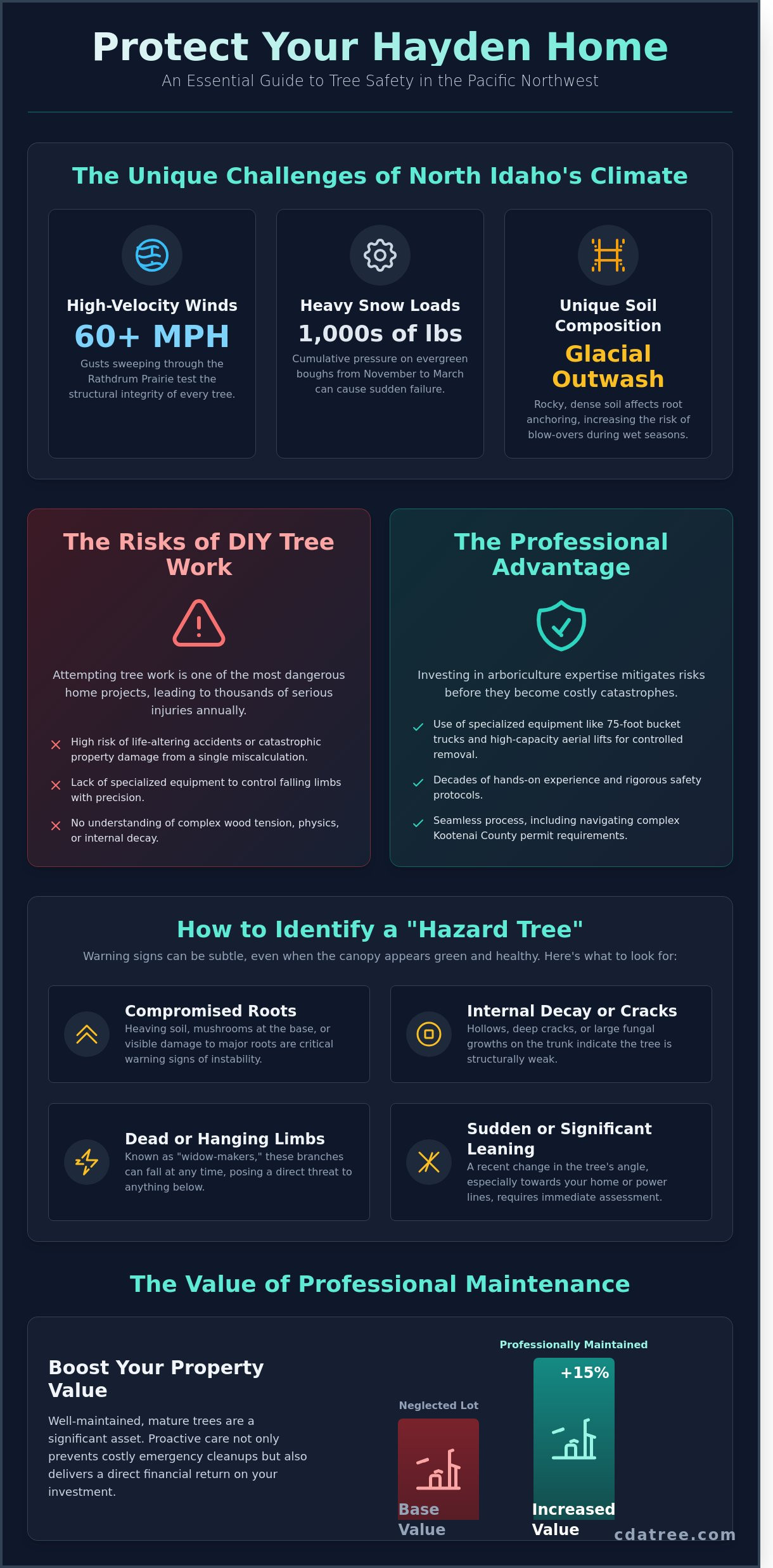 Tree care services Hayden ID infographic - visual guide