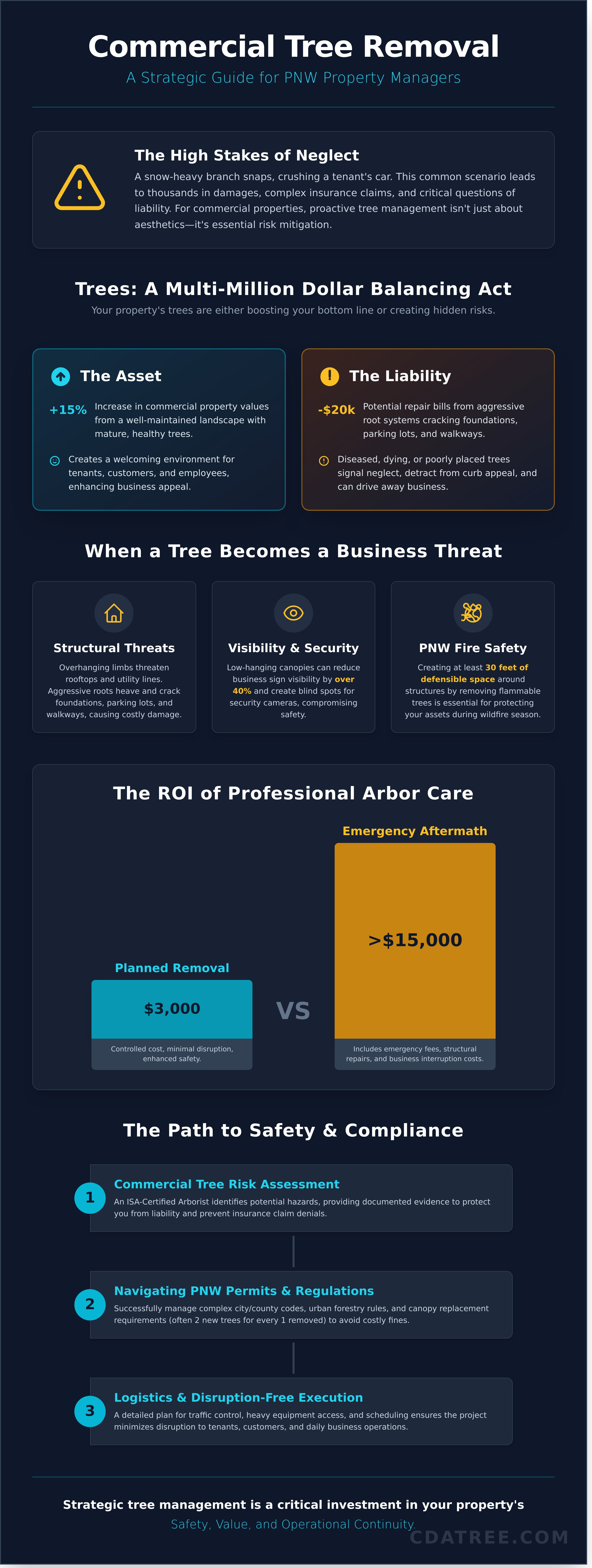 Tree removal for commercial property infographic - visual guide