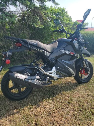STINGER BLACK Scorpion Imports - Main Image