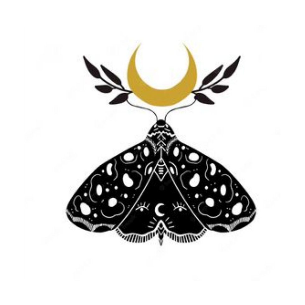 Metamorphosis Collaborative