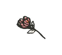 rosa.png