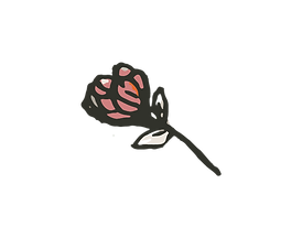 rosa.png