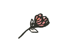 rosa_edited.png