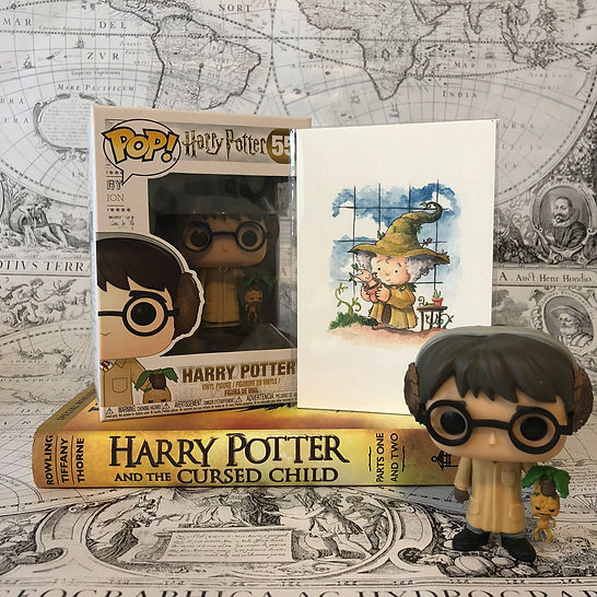 harry.jpeg