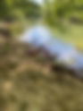 Canoe & Kayak Rentals | Cumberland 2.5hr
