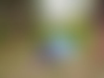 ２０２１年１２月１日　プレオープン！！