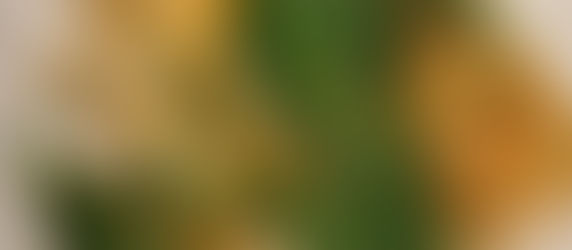 LK's Miso Butter Haricots Verts