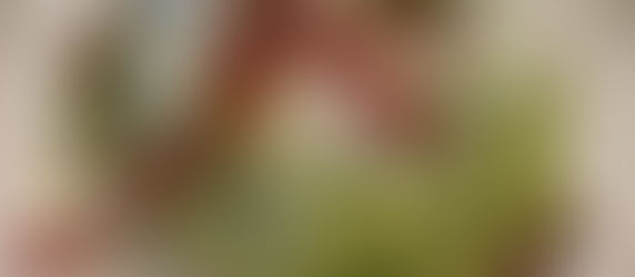 Spring Pea & Lemon Pasta