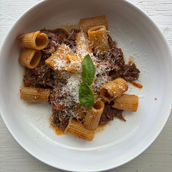 Short Rib Ragu