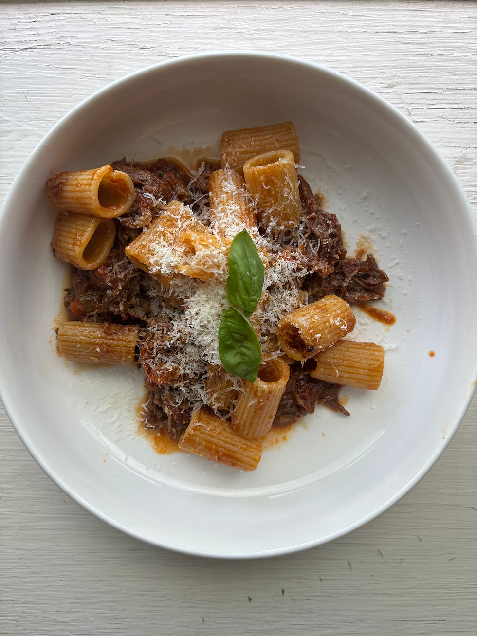 Short Rib Ragu