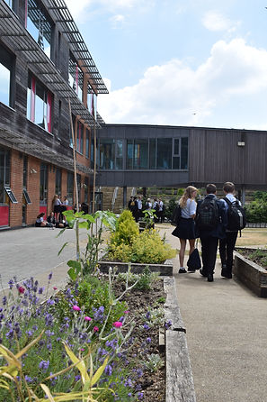 House Gardens.JPG