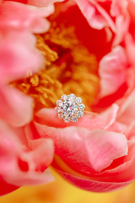 Citrus-Styled-Shoot-Previews-25.jpg