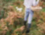Forage & Nibble in Winter