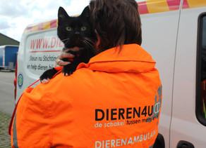 Los Terminales POC ayudan a la Asociación de Protección Animal en Holanda
