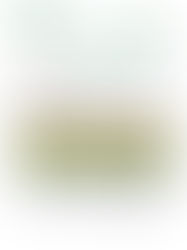 New Moon - Zilqaad 1447 A.H.