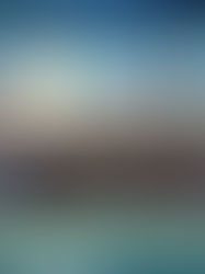 Appointment of the Africa Federation Housing Development Board 2025 - 2028