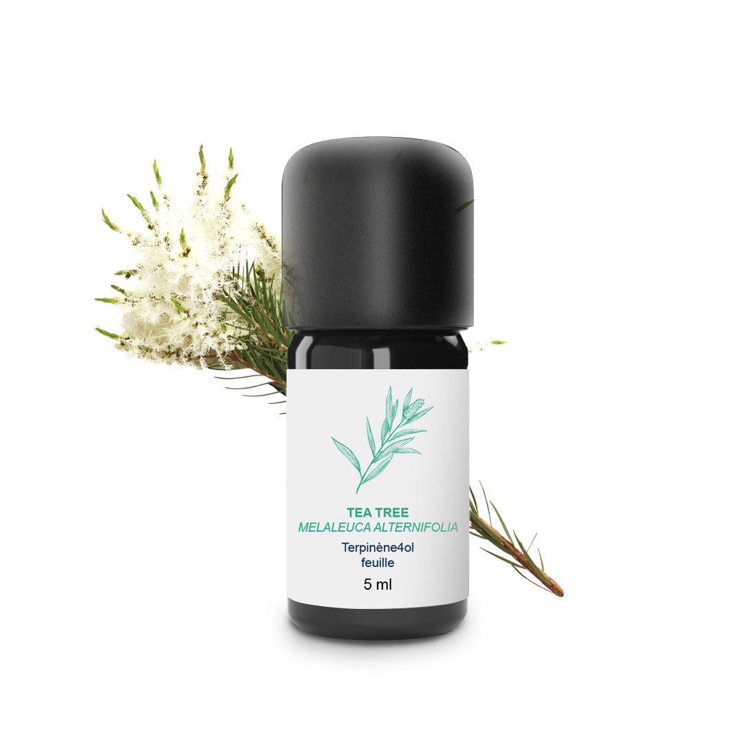 Tea Tree bio