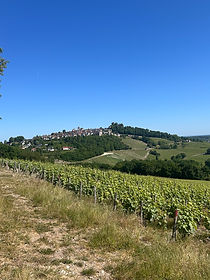 IMG_4637.jpeg